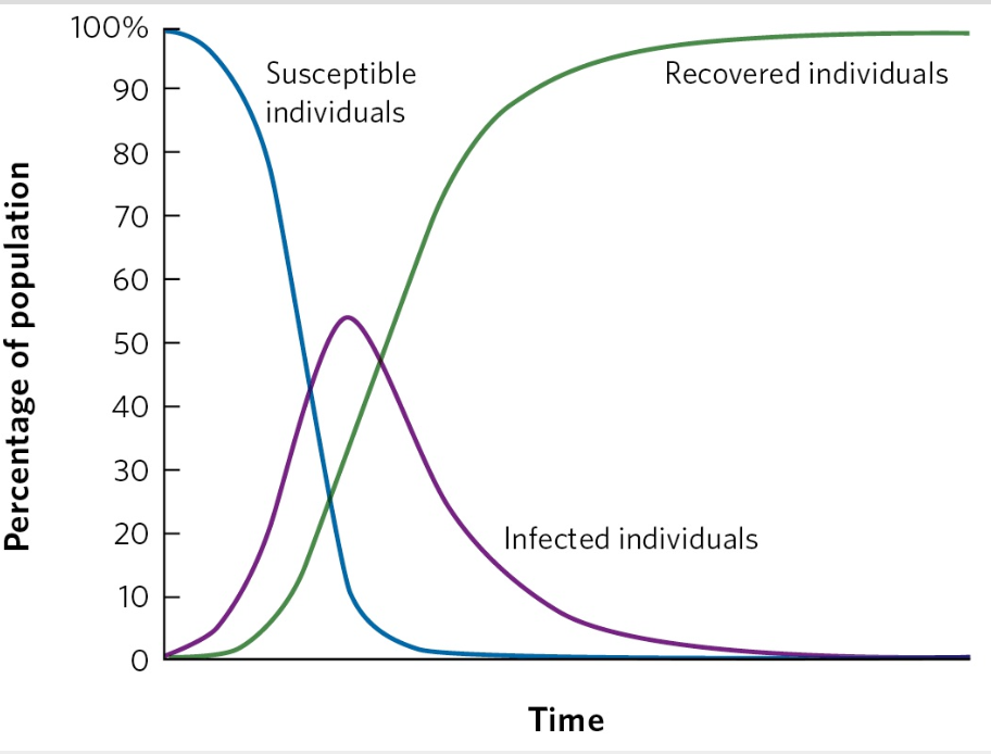 <p>The Dynamic of an Infection Over Time</p>