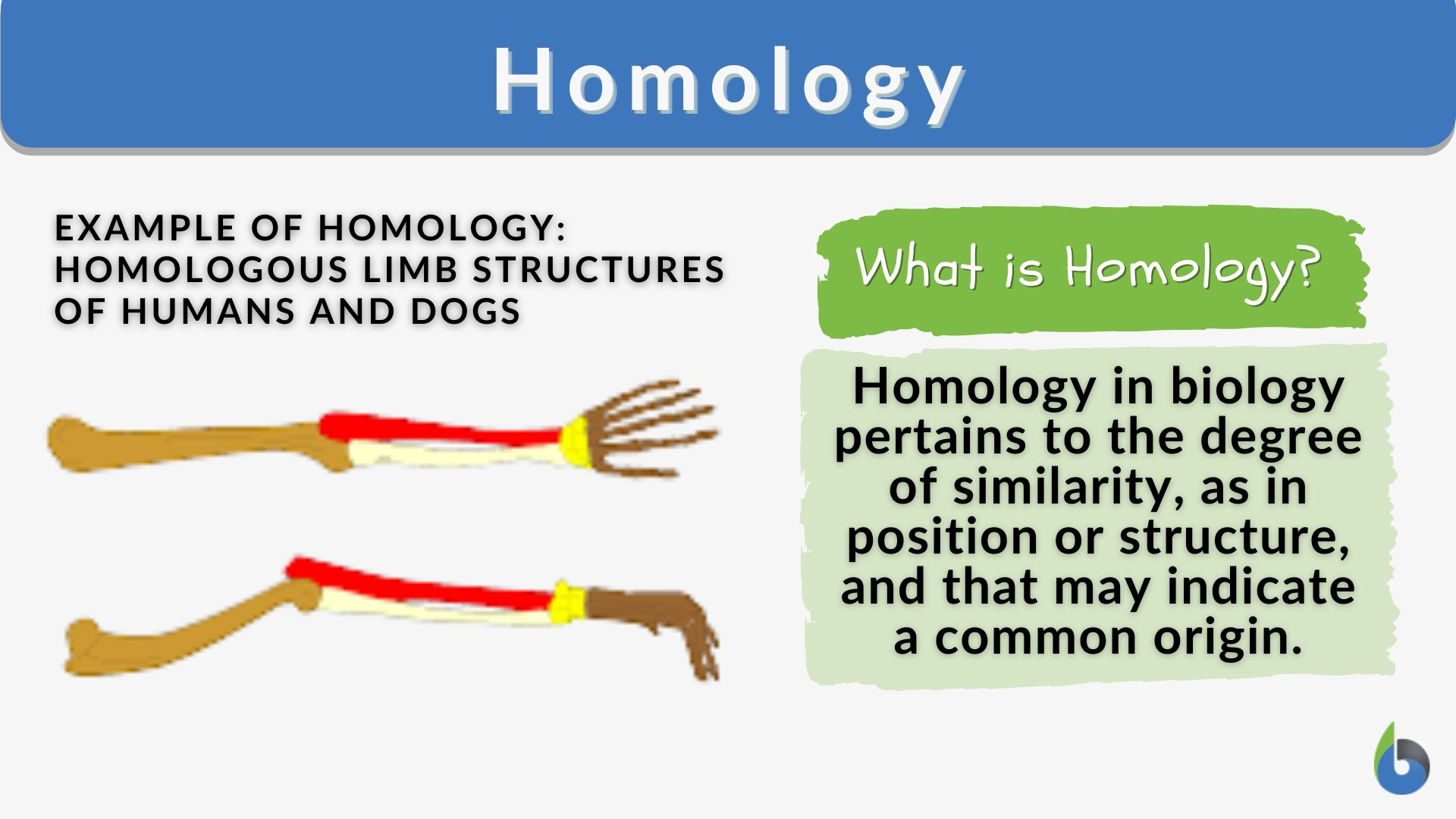 <p><strong>biological features including genes and their products that are descended from a feature present in a common ancestor</strong><span><span>. </span></span></p>