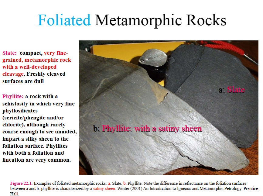 <p>Slate: compact, very fine-grained, metamorphic rock with a  well-developed cleavage. Freshly cleaved surfaces are dull</p><p>Phyllite: a rock with a schistosity in which very fine phyllosilicates (sericite/phengite and/or chlorite), although rarely coarse enough to see unaided, impart a silky sheen to the foliation surface. Phyllites with both a foliation and lineation are very common</p>