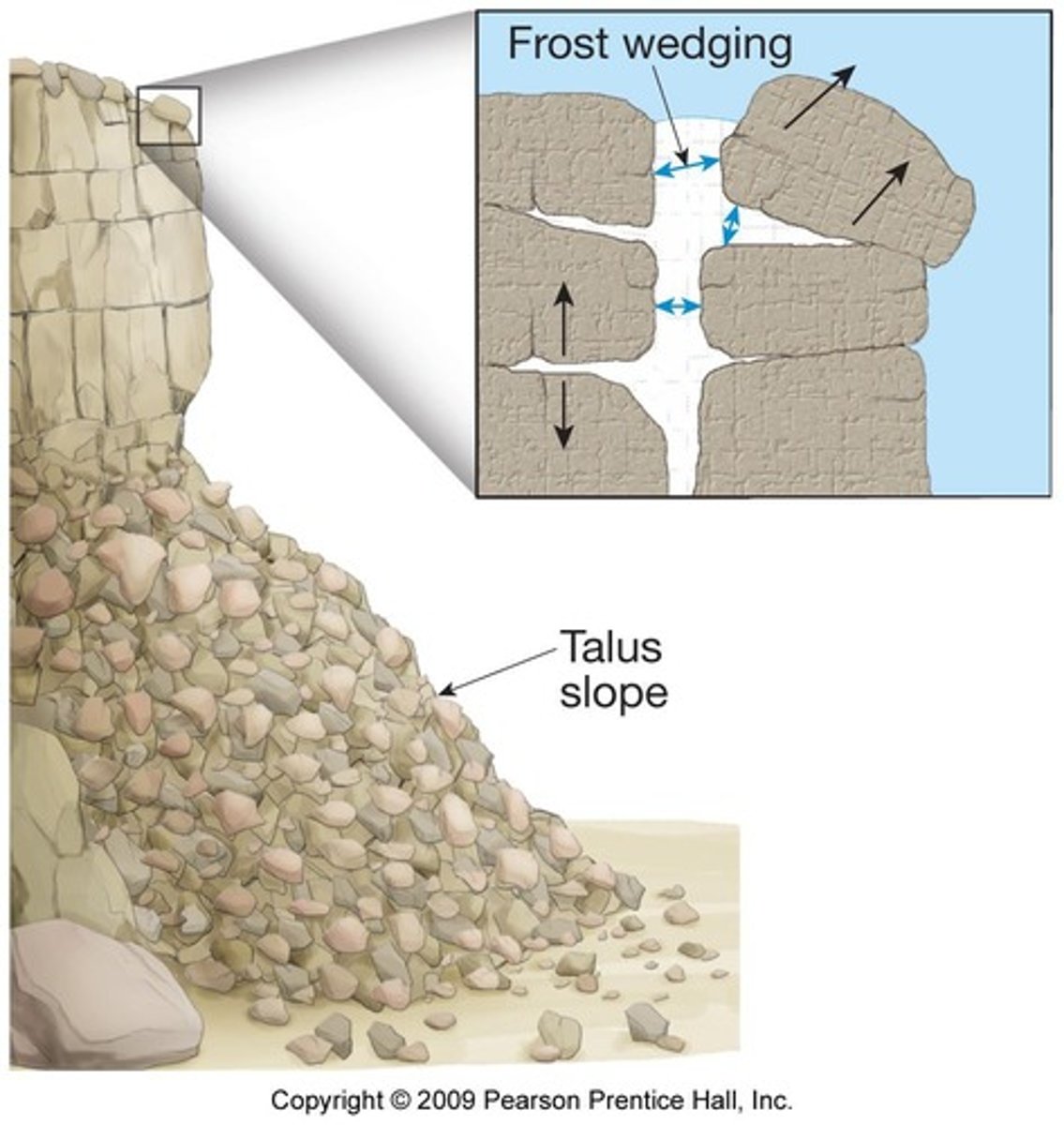 <p>Rock apron at the base of steep slopes from mass wasting.</p>