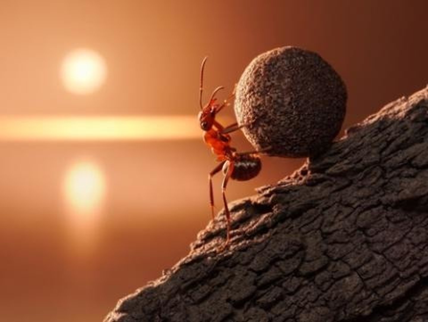 <p>sự kiên trì Success often comes from (_____) and hard work.</p>
