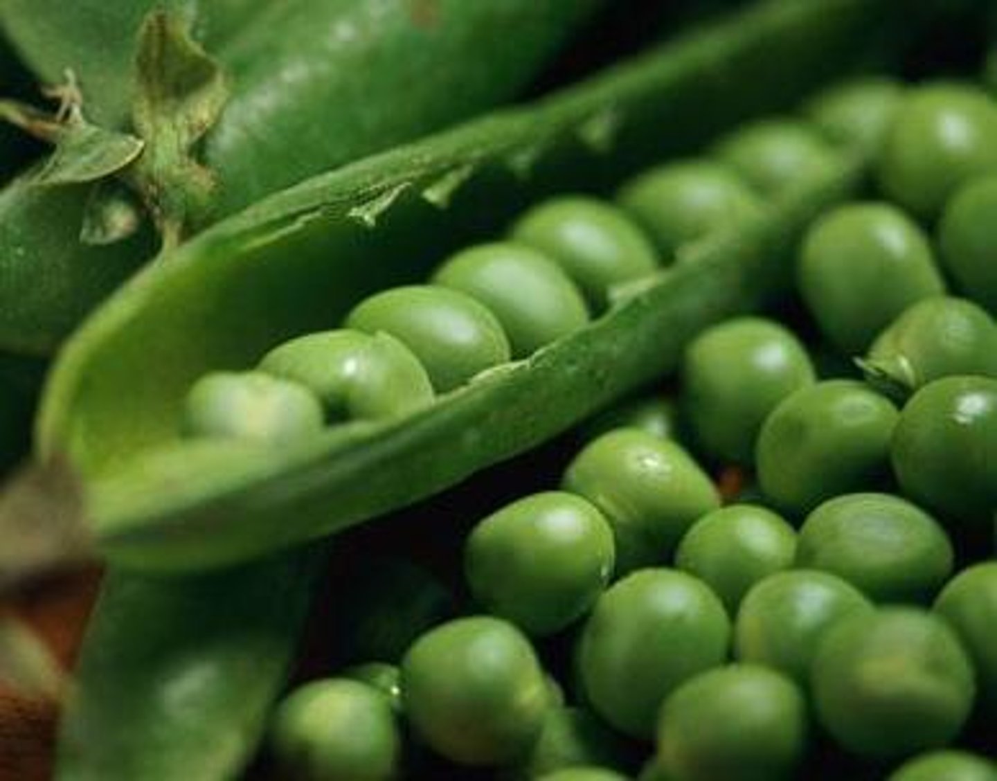 <p>peas</p>