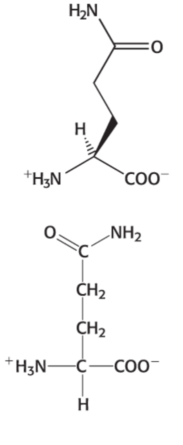 <p>Category: Polar neutral </p>