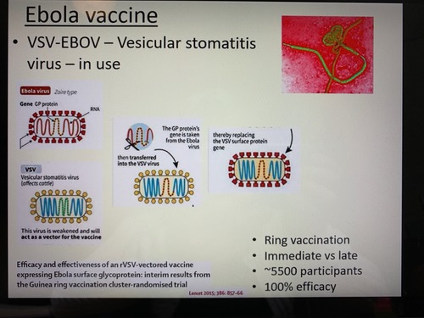 <p>ERVEBO Ebola Zaire vaccine</p>