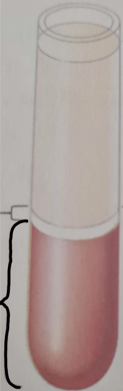 Red cell layer