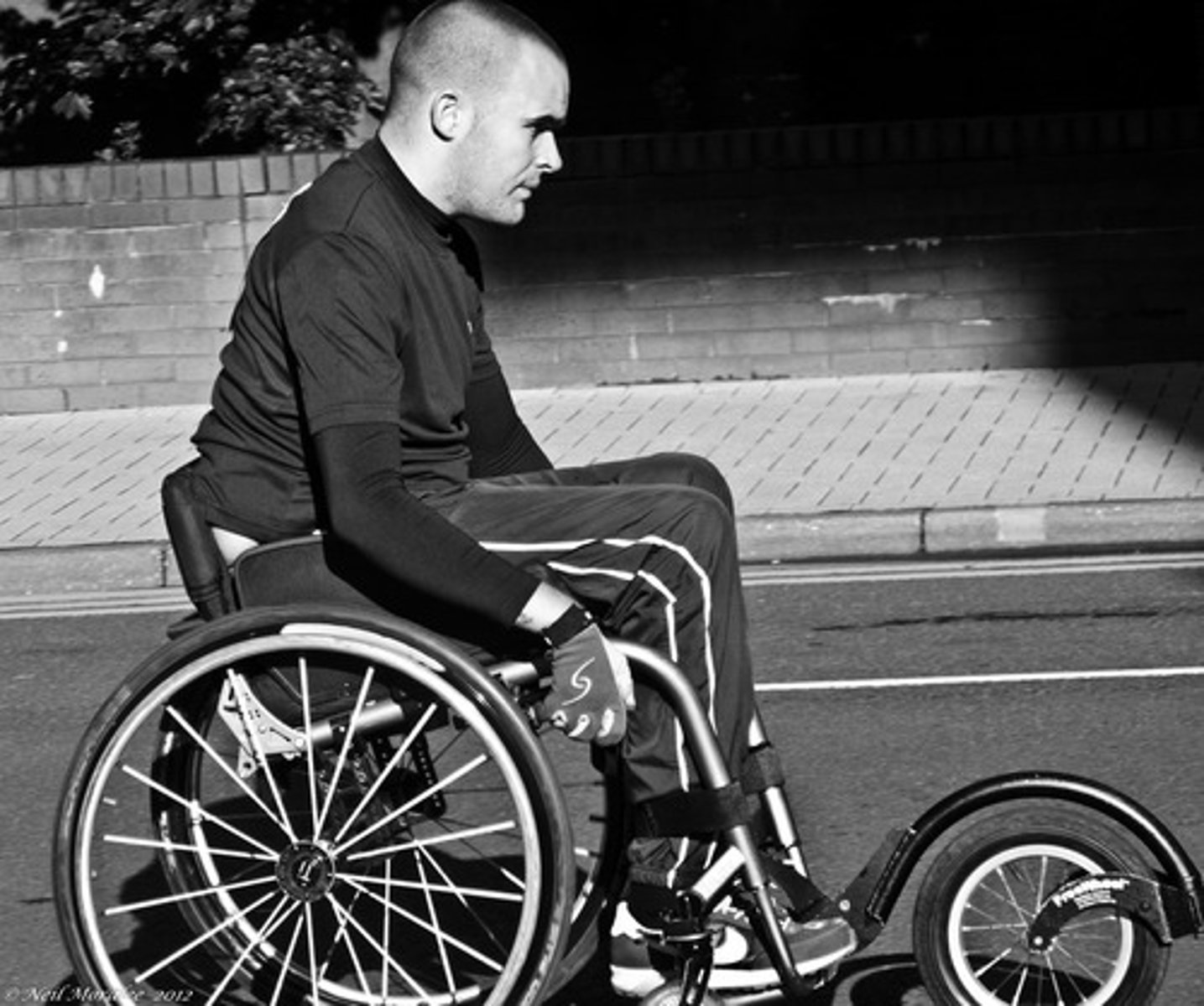 <p>giáo dục dành cho người lớn</p>