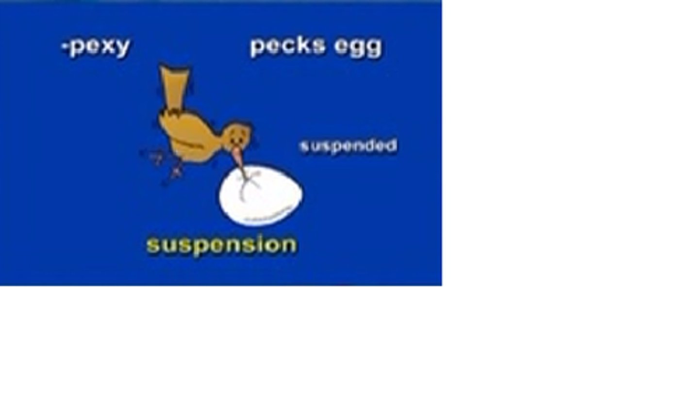 <p>surgical fixation, suspension</p>