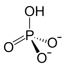 <ul><li><p>Ionic</p></li><li><p>acidic</p></li><li><p>soluble in water</p></li></ul>
