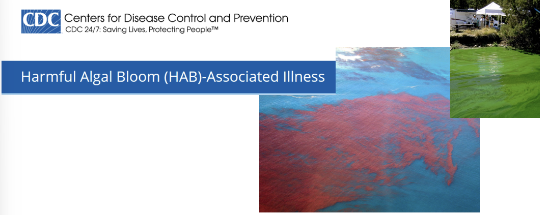 <p>what are some <strong>eutrophic concerns for human health?</strong></p>