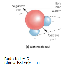 <p>partieel positief deel v molecuul water trekt positief negatief deel v molecuul water aan (en omgekeerd) </p><p>== geen covalente binding</p><p>— oplossen NaCl (zout) in water door Na elektron afgeven en Cl elektron opnemen = valt uit elkaar</p>