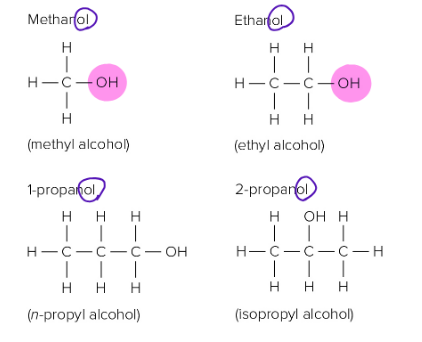 <p>One or more hydroxyl (-OH) functional groups</p><ul><li><p>Can be mixed with 6 carbons or under</p></li></ul><p></p><ul><li><p>Gasohol , solution of ethanol and gasoline</p></li></ul><p></p>