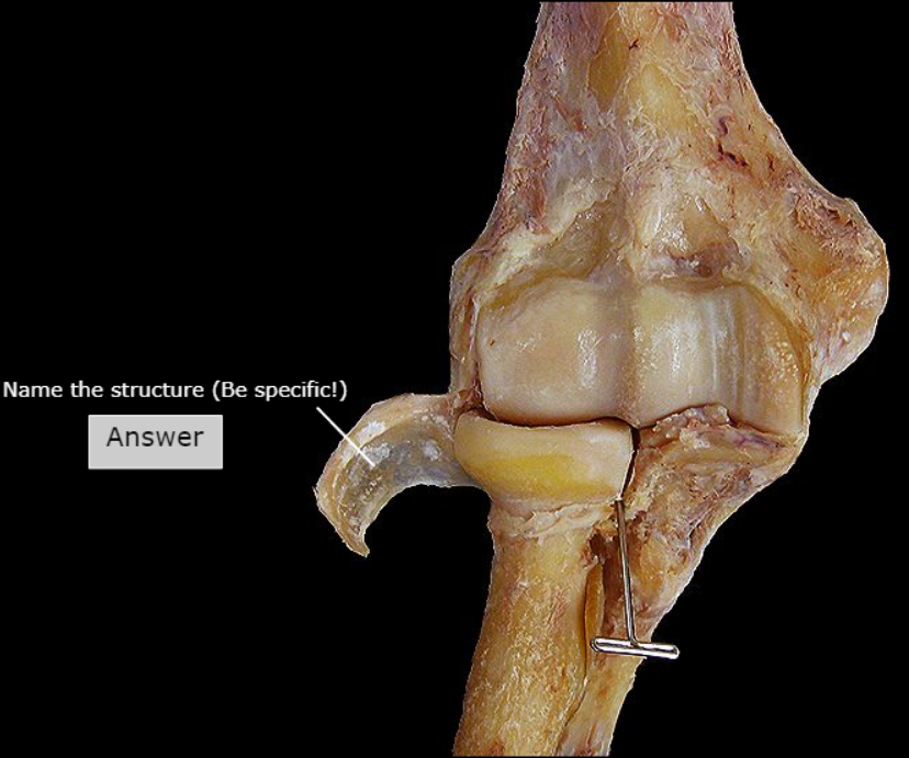 <p></p>
