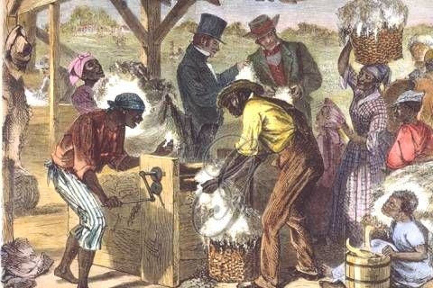 <p>Cotton's dominance in the Southern economy.</p>