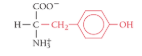 <p>What is the name of the amino acid?</p>