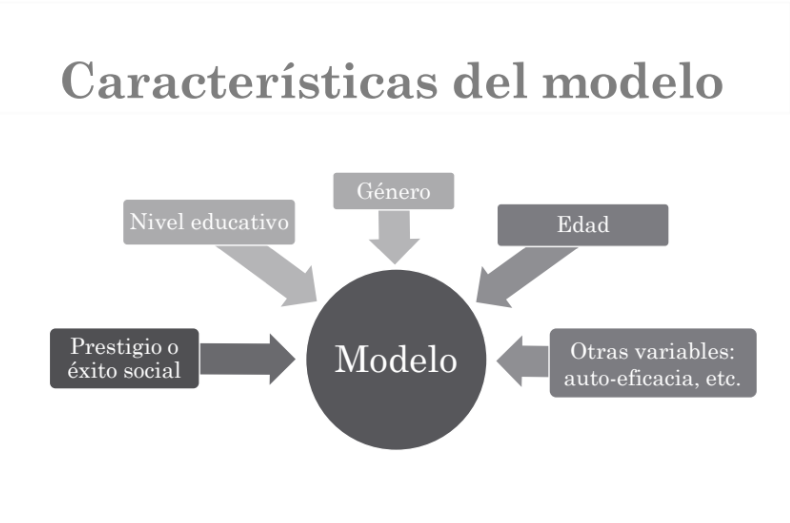 <p>nivel de competencia prestigio o exito</p><p>edad del modelo</p><p>genero</p><p>nivel educativo&nbsp;</p><p>nacionalidad</p><p>circuntancias&nbsp;</p><p>consecuencias vicarias</p><p>autoeficacia</p>