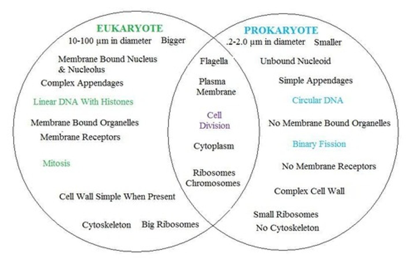 <p>Eukaryotic cells contain membrane-bound organelles, such as the nucleus, while prokaryotic cells do not. Differences in cellular structure of prokaryotes and eukaryotes include the presence of mitochondria and chloroplasts, the cell wall, and the structure of chromosomal DNA.</p>