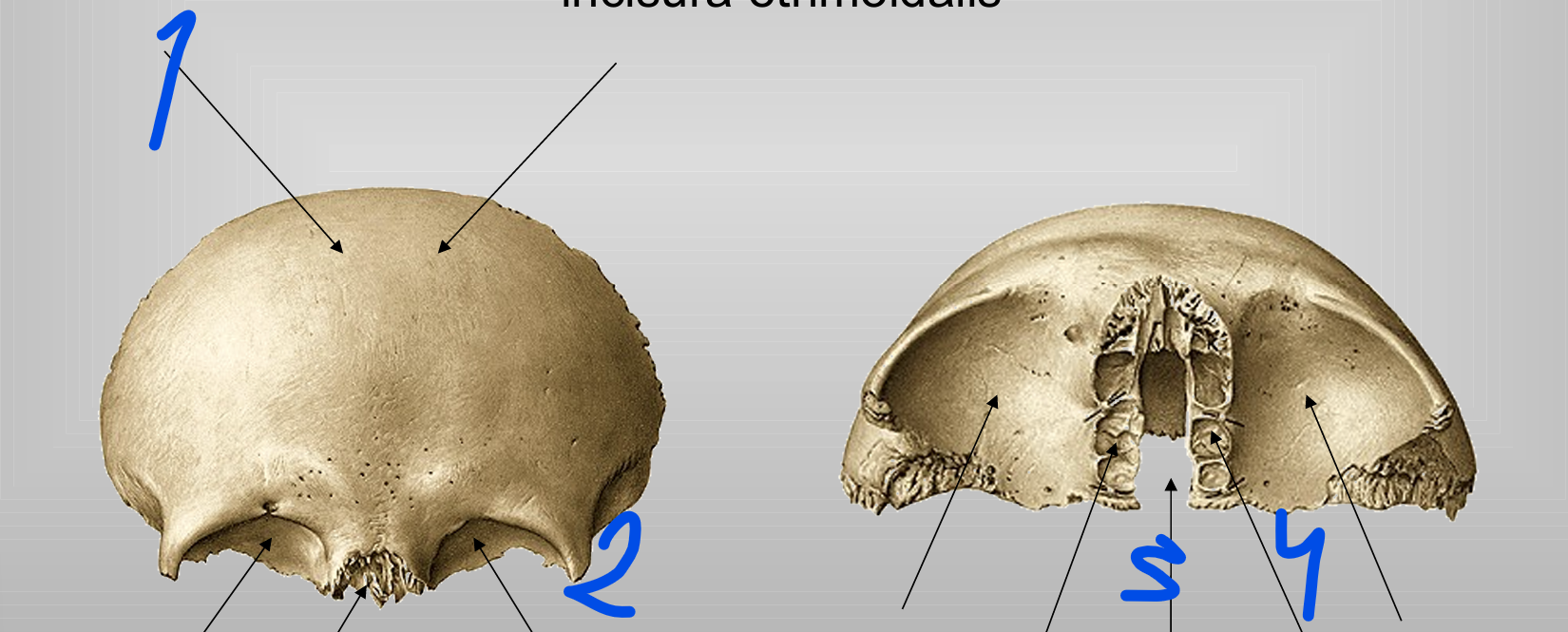 <p>1</p>