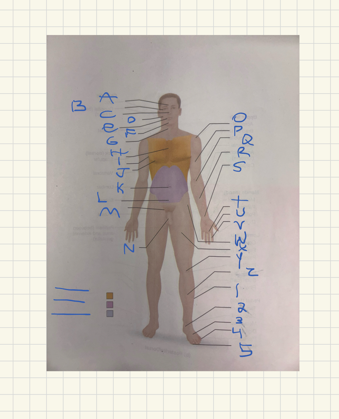 <p>What is letter f </p>