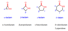 <ul><li><p>Lactam</p></li><li><p>replacing oic acid with lactam</p></li></ul>