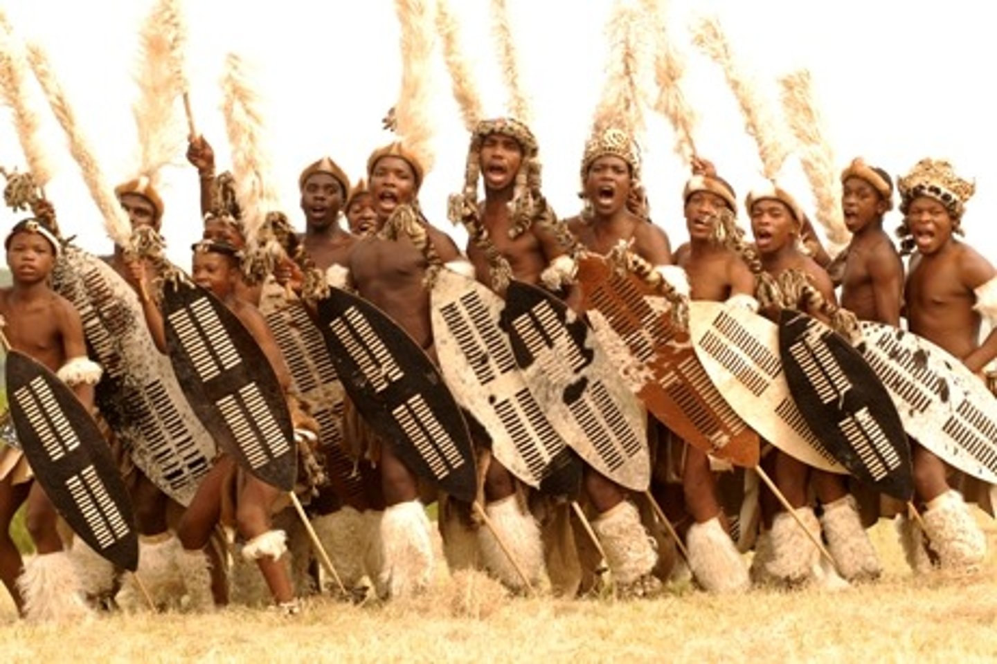 <p>Largest ethnic group in South Africa; led by the warrior chieftain Shaka; they gradually expanded outwards from their homeland in Natal</p>