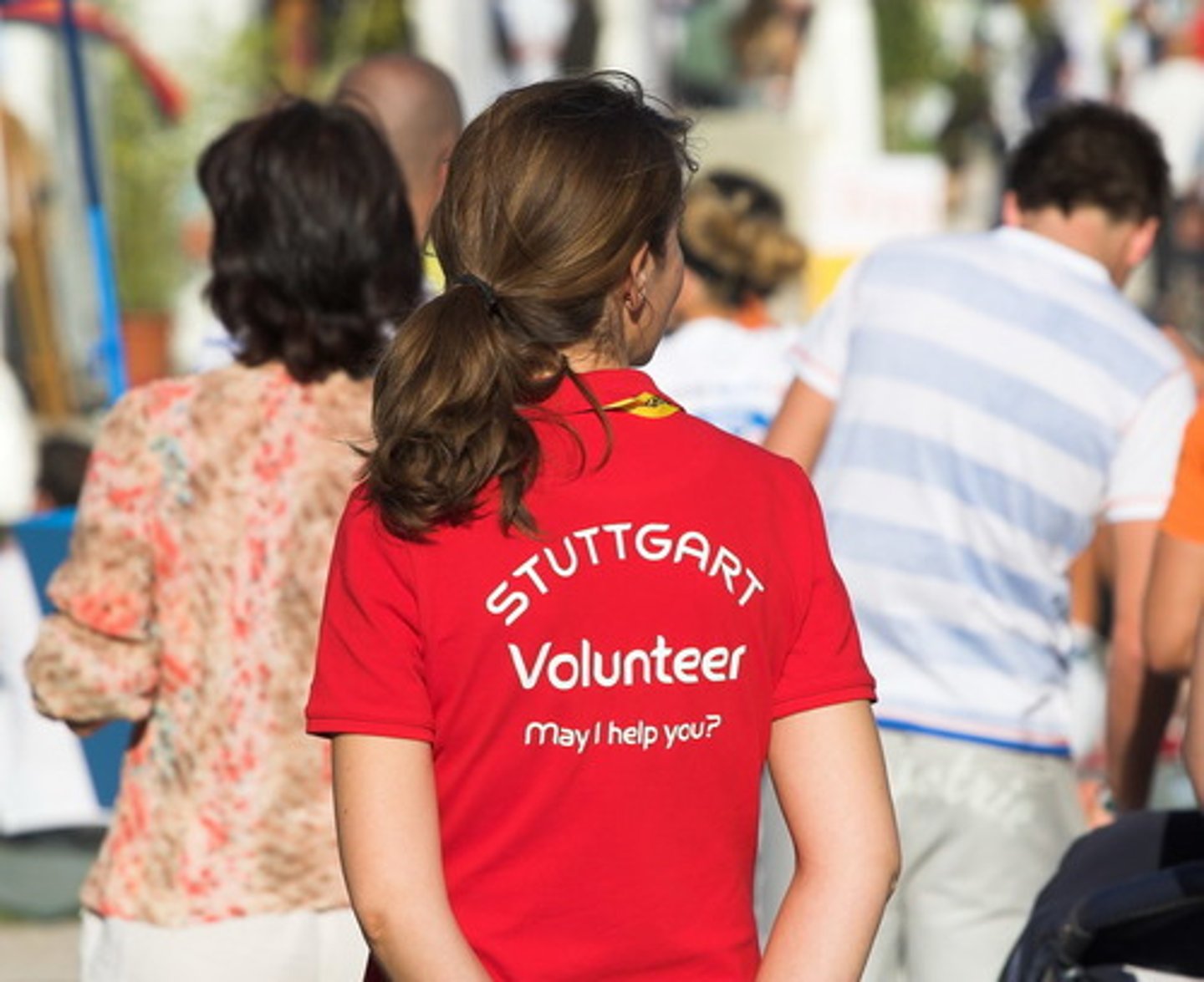 <p>volunteer</p>