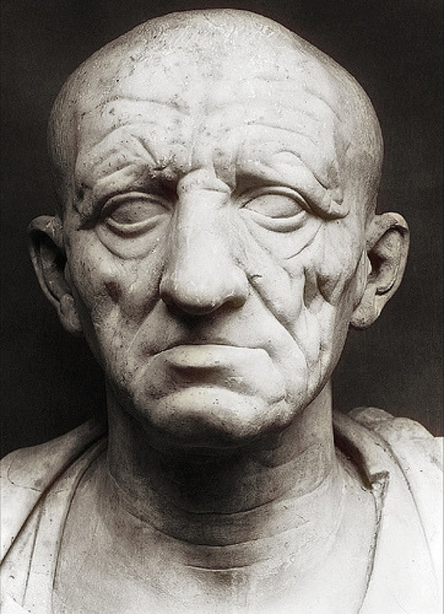 <p>Form:<br>-marble<br>-deep wrinkles, hooked nose, defined cheek bones<br>Content:<br>-realistic portrayal of a Roman patrician<br>-show sense of civic virtue: wisdom, seriousness, public service<br>Function:<br>-kept in shrines of Roman houses<br>-mask of values and virtues of Republican men in Rome<br>Context:<br>-Republican Roman 75-50 BCE<br>-influence of Greek Hellenistic art</p>