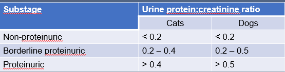 Proteinuria is a negative prognostic indicator in CKD and should be targeted during treatment. Measurement of urine protein and determination of the urine protein:creatinine ratio it therefore recommended. Pre-renal proteinuria and post-renal proteinuria should be excluded. Initially a dipstick examination can be performed and a UPC requested is protein is evident. A negative dipstick results allows classification as non-proteinuric (NP).