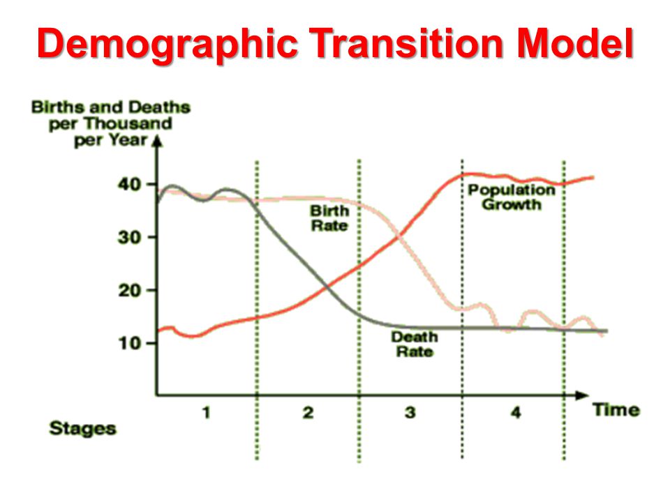 <p>What are the demographic transition model (DTM) stages and who created it?</p>