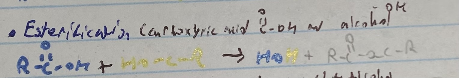 <p>condensation reaction between carboxylique acid and alcohol </p>