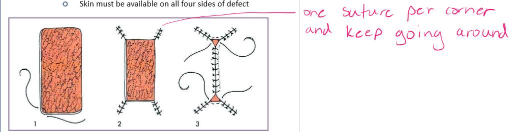 <p>irregular skin defects </p>