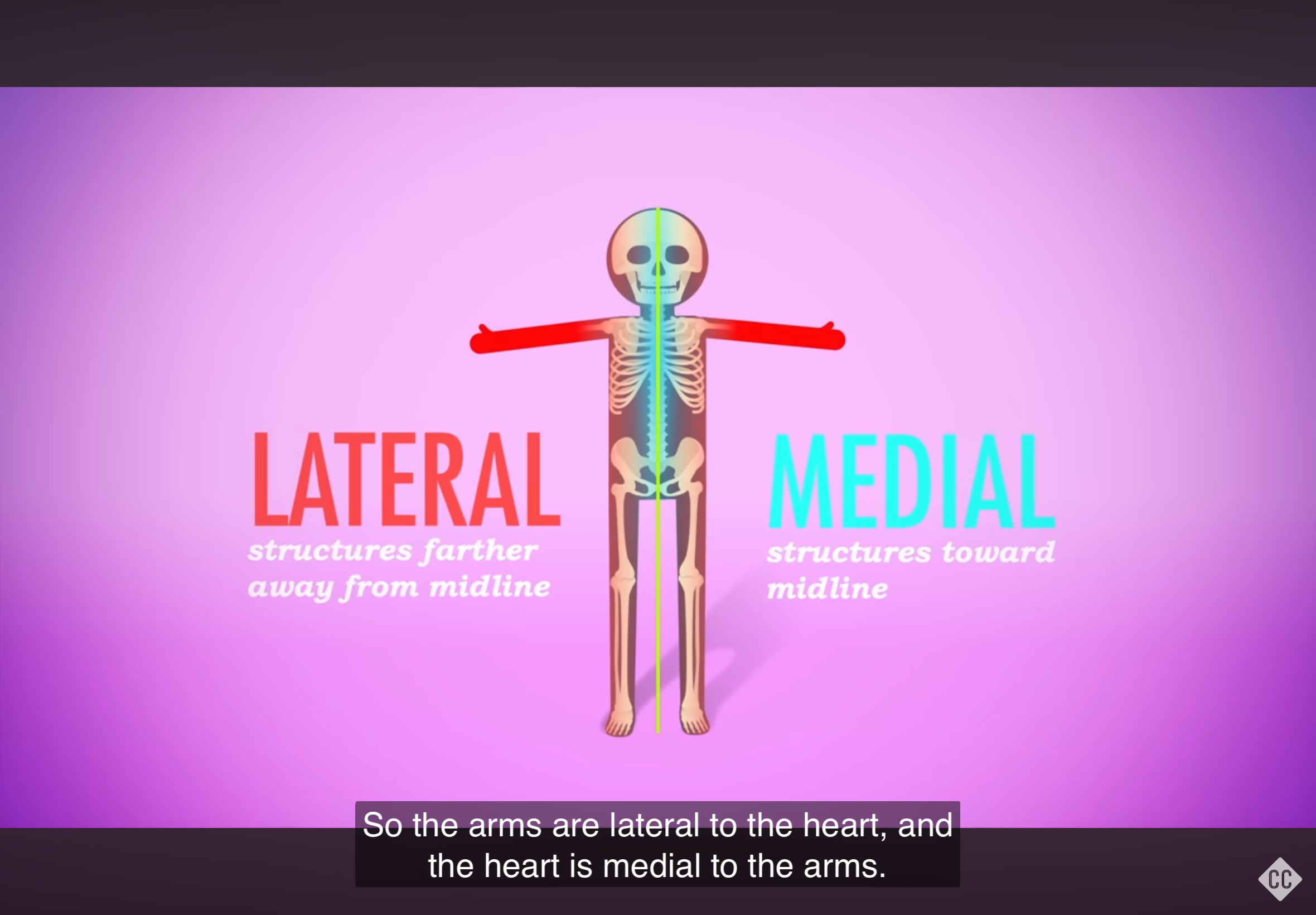 <p>Refers to a position farther away from the midline of the body.</p>