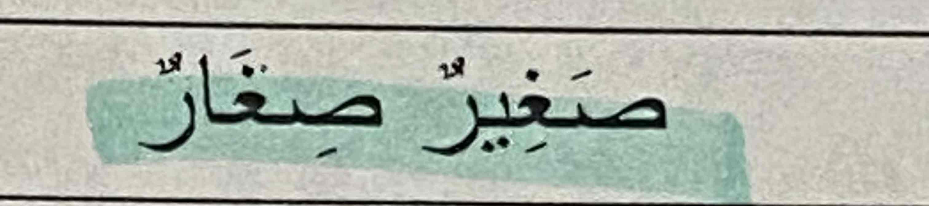 <p>Arabic</p>