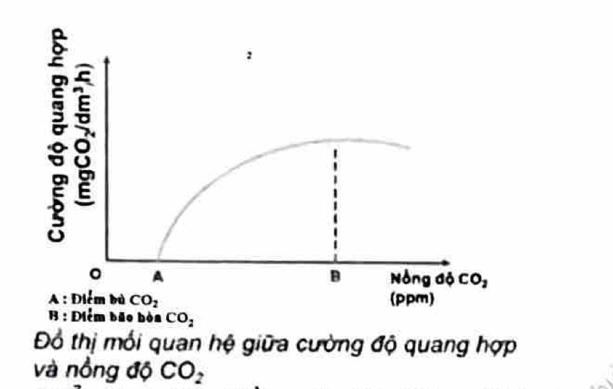 <ul><li><p><strong>Điểm bù CO2</strong>: Nồng độ CO2 trong không khí mà ở đó <strong>quang hợp</strong> và <strong>hô hấp</strong> có cường độ <strong><em>bằng nhau</em></strong></p></li><li><p>Từ điểm bù, nếu CO2 tăng =&gt; cường độ quang hợp sẽ  <strong><em>tăng đến một lúc nào đó sẽ không tăng nữa</em></strong></p></li></ul>