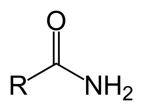 <ul><li><p>has NH2 and C=O group on the same carbon atom</p></li><li><p>named as alkanamide</p></li><li><p>amide</p></li></ul>