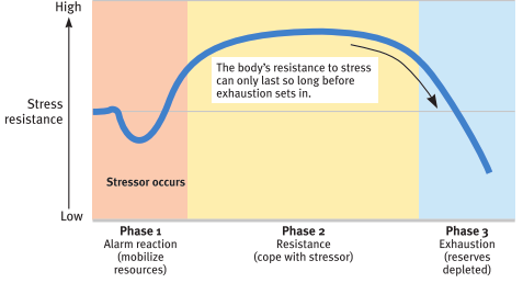 <p><span>Selye’s concept of the body’s adaptive response to stress in three phases (alarm, resistance, exhaustion)</span></p>