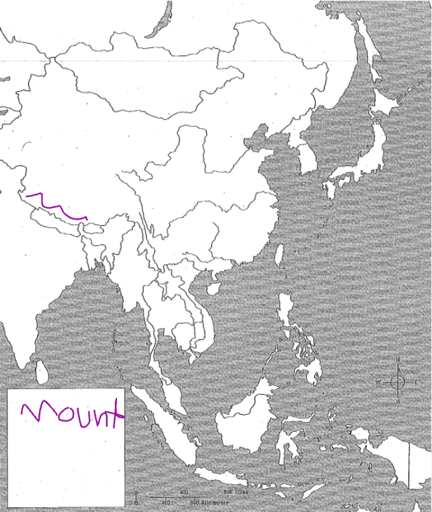 term image