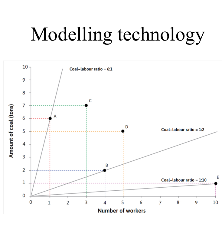 <p>A process that uses inputs to produce an output </p>