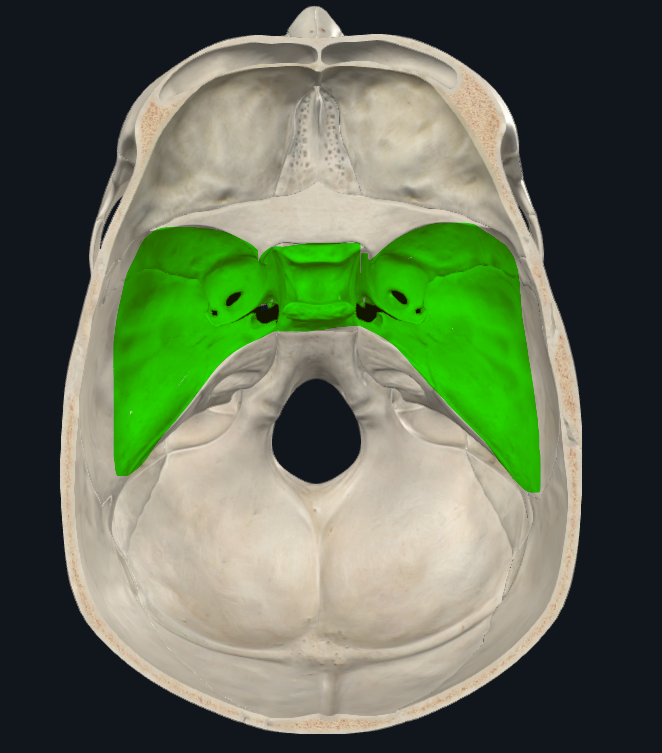 <p>Límite anterior:</p><ul><li><p>Borde posterior de las alas menores del esfenoides</p></li></ul><p>Límite posterior</p><ul><li><p>Dorsum sellae y la cima de las pirámides de la porción petrosa</p></li></ul><p></p>