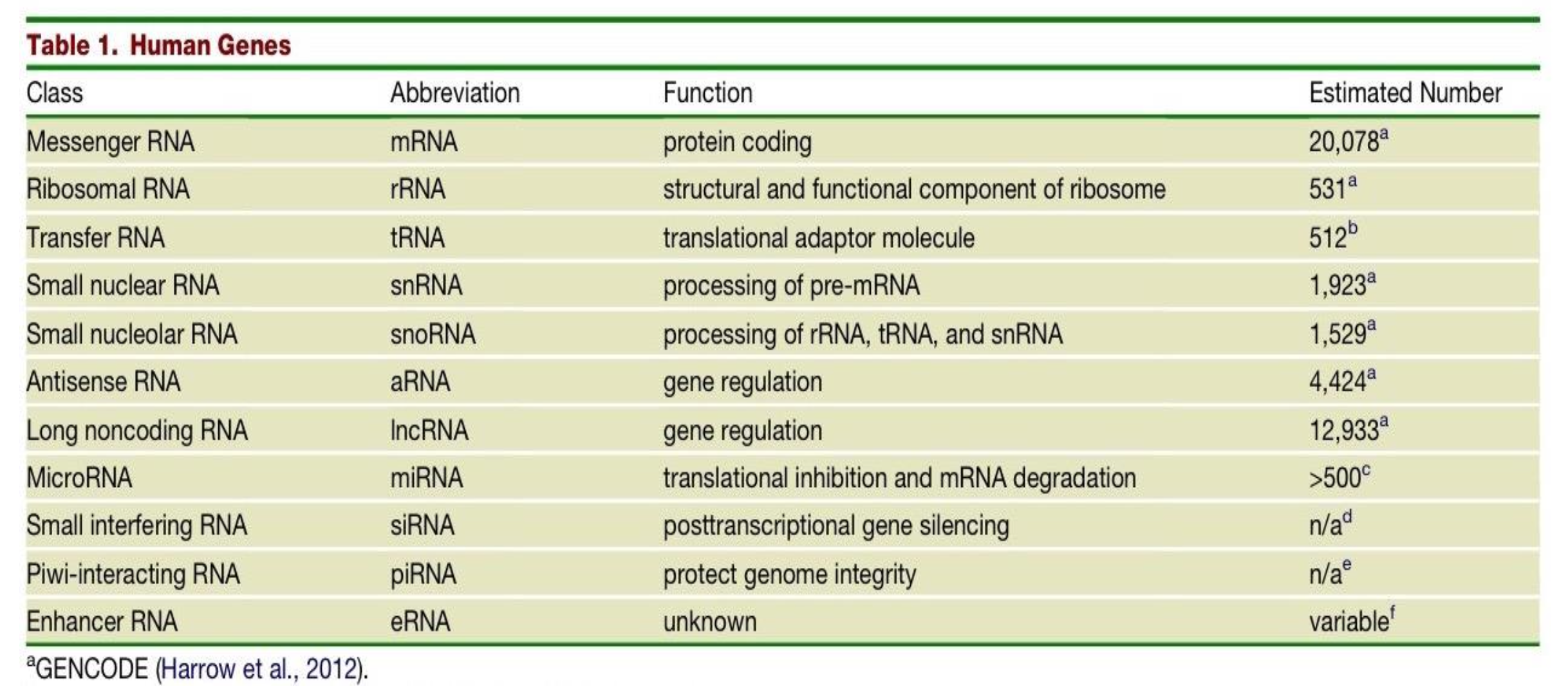 <p>protecting genome integrity<br>n/a</p>