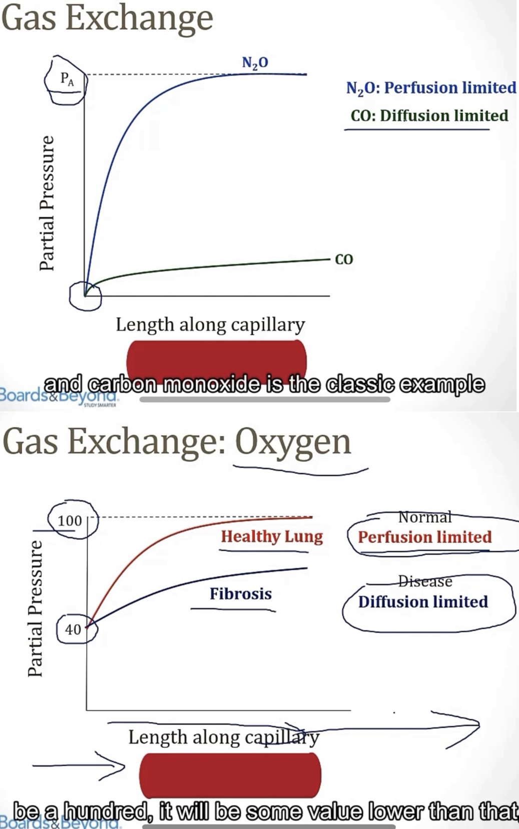 <p>-blood flow/perfusion; NO; alveoli</p><p>-ability to diffuse across a barrier/wall; CO; never reaches equilibrium</p><p>-fibrosis</p><p>-DLCO(diffusing capacity of carbon monoxide); inhales CO, then they exhale, the breath is measured, to see how much CO diffused from the alveoli into the arteries; emphysema; fibrosis</p>