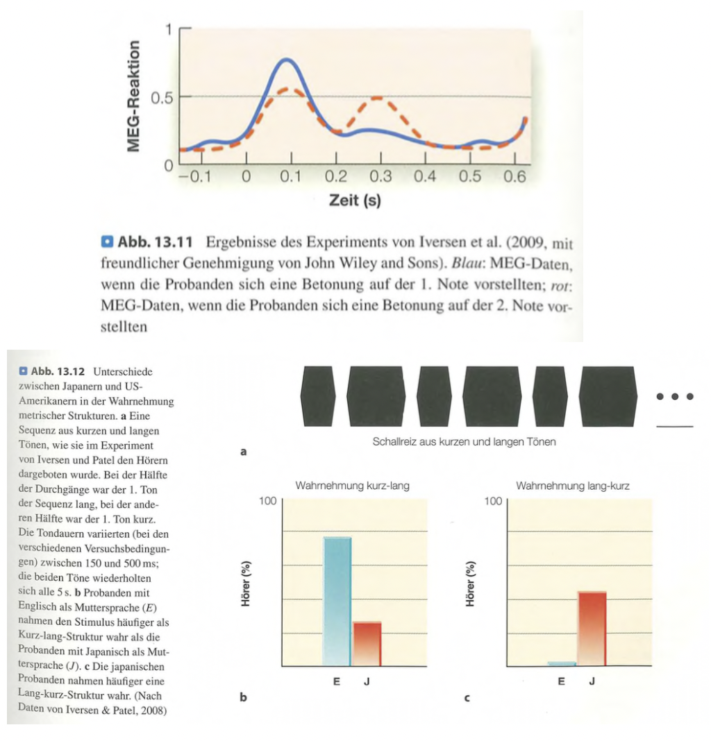 <p class=""><strong>Kurzversion:</strong><br>Das <strong>Metrum ist keine rein äußere Struktur</strong>, sondern wird vom <strong>Gehirn konstruiert</strong>, durch <strong>Bewegung beeinflusst</strong> und durch <strong>sprachliche Erfahrung geprägt</strong>. Es entsteht aus der <strong>kognitiven Interpretation</strong>, nicht nur aus dem Zeitmaß der Musik.</p><div data-type="horizontalRule"><hr></div><p class=""><strong>Langversion:</strong></p><ul><li><p class=""><strong>Mentale Konstruktion (Geist):</strong></p><ul><li><p class="">Menschen <strong>gruppieren gleichmäßige Beats</strong> mental zu <strong>metrischen Einheiten</strong> (z. B. 2er oder 3er-Muster).</p></li><li><p class="">MEG-Studien zeigen, dass allein die <strong>Vorstellung</strong> von Betonung <strong>unterschiedliche Gehirnreaktionen</strong> auslöst.</p></li></ul></li></ul><p class=""></p><ul><li><p class=""><strong>Bewegung:</strong></p><ul><li><p class="">Bewegung <strong>beeinflusst das wahrgenommene Metrum</strong>: Probanden, die im 2er- oder 3er-Takt bewegt wurden, <strong>bevorzugten später passende Rhythmusmuster</strong>.</p></li><li><p class="">Auch <strong>vestibuläre Reize</strong> (z. B. durch elektrische Stimulation) <strong>veränderten die metrische Wahrnehmung</strong>, selbst ohne tatsächliche Bewegung.</p></li></ul></li></ul><p class=""></p><ul><li><p class=""><strong>Sprache:</strong></p><ul><li><p class=""><strong>Sprachliche Betonungsmuster prägen metrische Wahrnehmung</strong>.</p></li><li><p class="">Englisch-/Deutschsprechende bevorzugen <strong>kurz–lang</strong> (unbetont–betont), Japanischsprechende <strong>lang–kurz</strong>.</p></li><li><p class="">Diese Präferenz zeigt sich <strong>bereits bei Säuglingen</strong> ab 7–8 Monaten.</p></li></ul></li></ul><p class=""></p><ul><li><p class=""><strong>Fazit & Symbolik:</strong></p><ul><li><p class="">Der Beat wird oft mit dem <strong>Herzschlag</strong> verglichen. Musiker wie <strong>Carlos Santana</strong> betonen, dass die Musik durch das Metrum <strong>direkt mit dem emotionalen Erleben</strong> verbunden ist.</p></li></ul></li></ul><p></p>