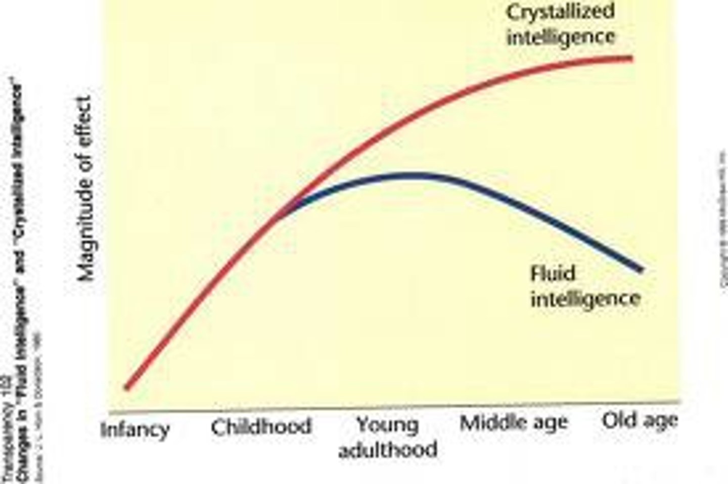 <p>our accumulated knowledge and verbal skills; tends to increase with age.</p>