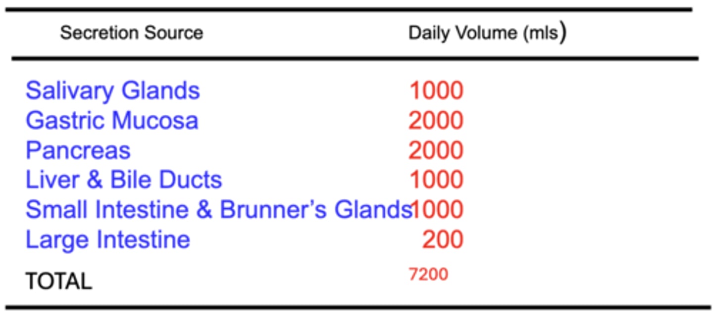 <p>>7 L of fluid is secreted into the GI tract each day</p><p>- not including approximately 2 L of daily fluid intake in the diet</p>