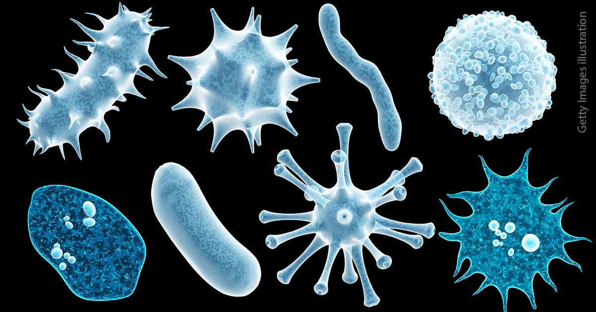 <p>virus<br>eg. virology</p>