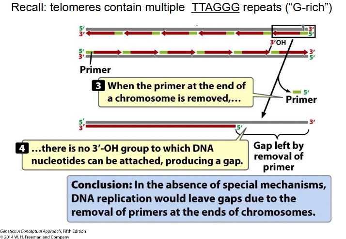 <p>End Replication Problem</p>
