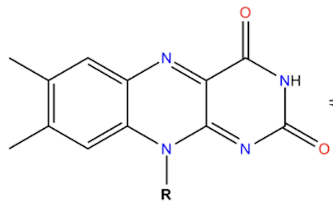 <p>Name that structure.</p>
