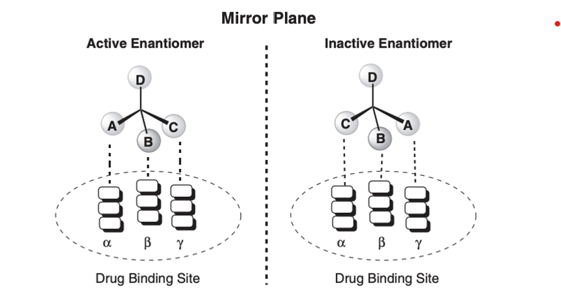 <p><span>Most approved drugs that contain chiral centers are now marketed as a single enantiomer</span></p><ul><li><p style="text-align: left"><span>However, many older racemic drugs are still on the market</span></p></li><li><p style="text-align: left"><span>In many cases, one of the enantiomers dominates the desired activity</span></p></li><li><p style="text-align: left"><span><strong>Example:&nbsp; </strong>Warfarin – S-enantiomer is 5x more potent than R enantiomer at inhibiting coagulation.&nbsp; There are also substantial differences in the serum</span></p><p style="text-align: left"><span>half-life for each enantiomer because each is metabolized by different enzymes in the body</span></p></li></ul><p></p><p><span>Protein binding sites are spatially specific and made up of chiral amino acids</span></p><ul><li><p style="text-align: left"><span>Thus, two enantiomers do not bind in the same orientation to a given binding site and have different pharmacological activity&nbsp;</span></p></li></ul><p></p>