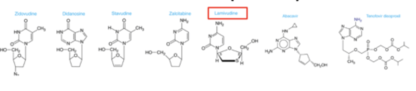 <p>Reverse Transcriptase (RT)-- (RNA-dependent DNA polymerase)-copies viral RNA into proviral DNA for integration into host cell chromosome</p><p>Drugs prevent infection of susceptible cells but does not eradicate integrated proviral DNA ie not curative</p>