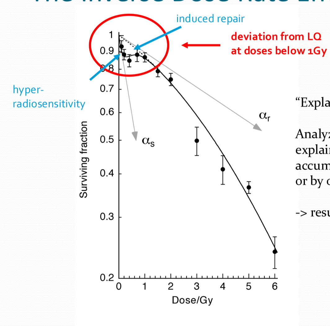 <p>at very low doses, cells have a peak of hyperradiosensitivity that deviates away from the LQ model as the DNA damage repair mechanism are not fully activated</p><ul><li><p>with super low dose rates, the cell is stuck in this peak of hyperradiosensitivity so the cell is affected more by damage</p></li></ul><p></p>