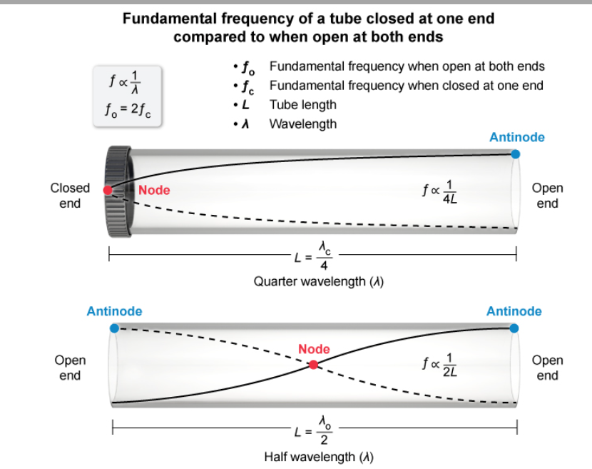 <p>f is proportional to 1/ wavelength.</p><p>f is proportional to 1/4L first then 1/2L so it doubles</p>